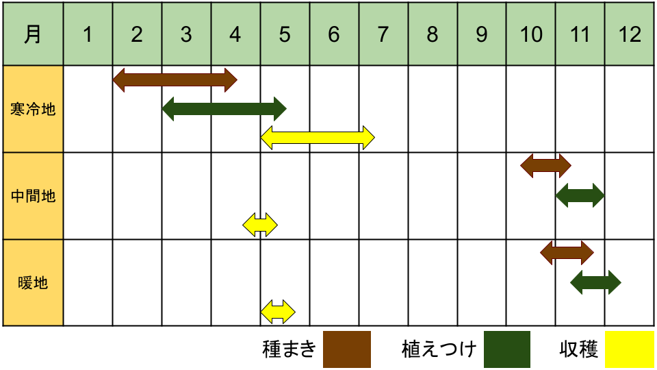 ひよこ豆の栽培カレンダー