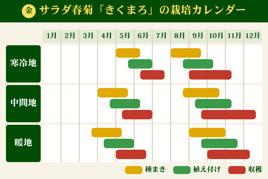 サラダ春菊「きくまろ」の栽培カレンダー