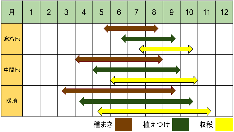 ミツバの栽培カレンダー