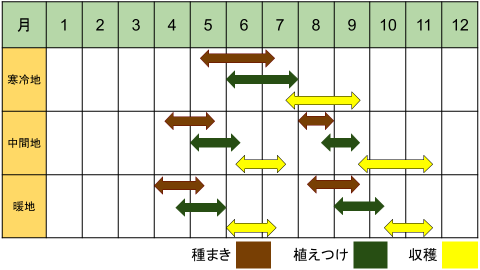 つるなしモロッコの栽培カレンダー