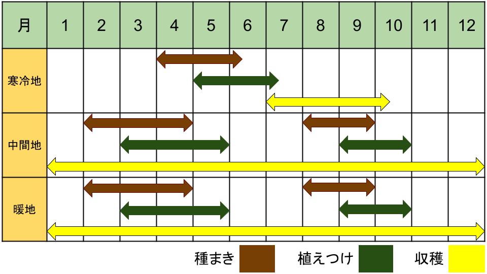 タイムの栽培カレンダー