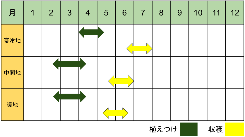 インカのめざめの栽培カレンダー
