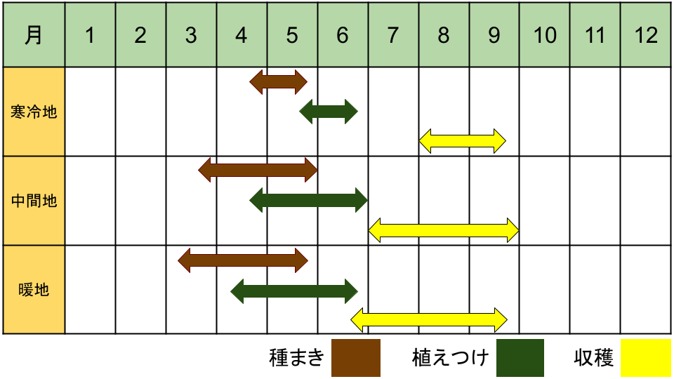 グラッセの栽培カレンダー