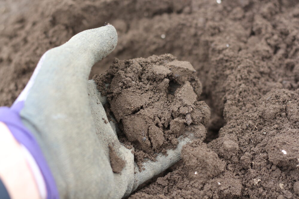 団粒構造の発達した土