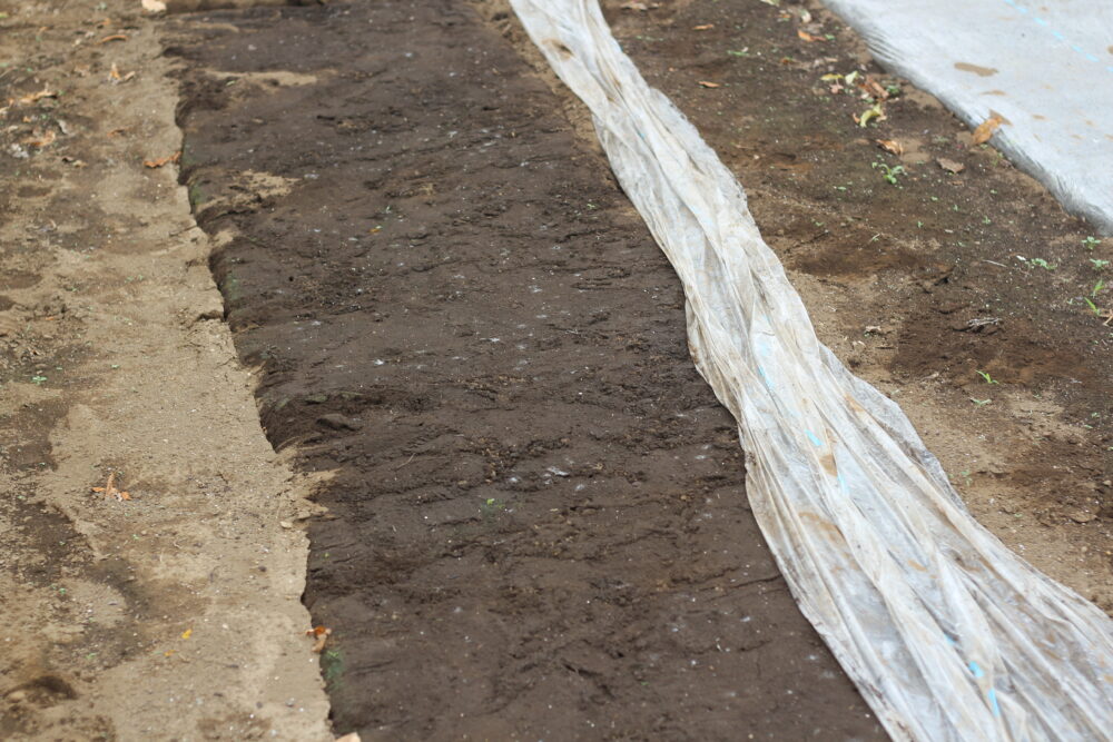 ２～３週間で太陽熱消毒完了！