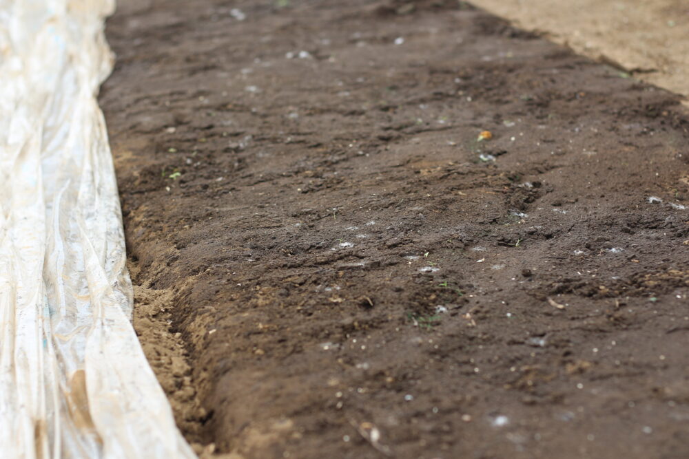 太陽熱消毒の様子