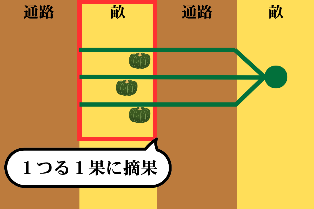 形が良い実を１つる１果に摘果する