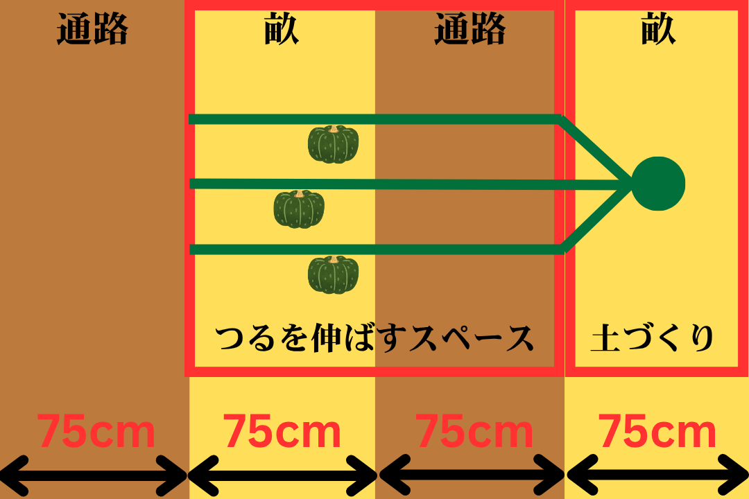 グラッセを植える隣の畝と間の通路はつるを伸ばすスペースとして空けるイメージ図