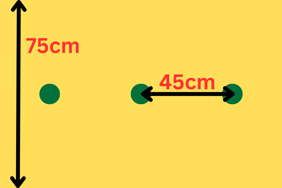 ローズマリーの株間は１列45cm