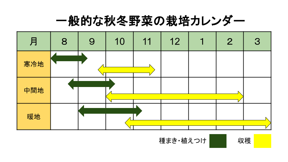一般的な秋冬野菜の地域別栽培カレンダー（寒冷地・中間地・暖地）