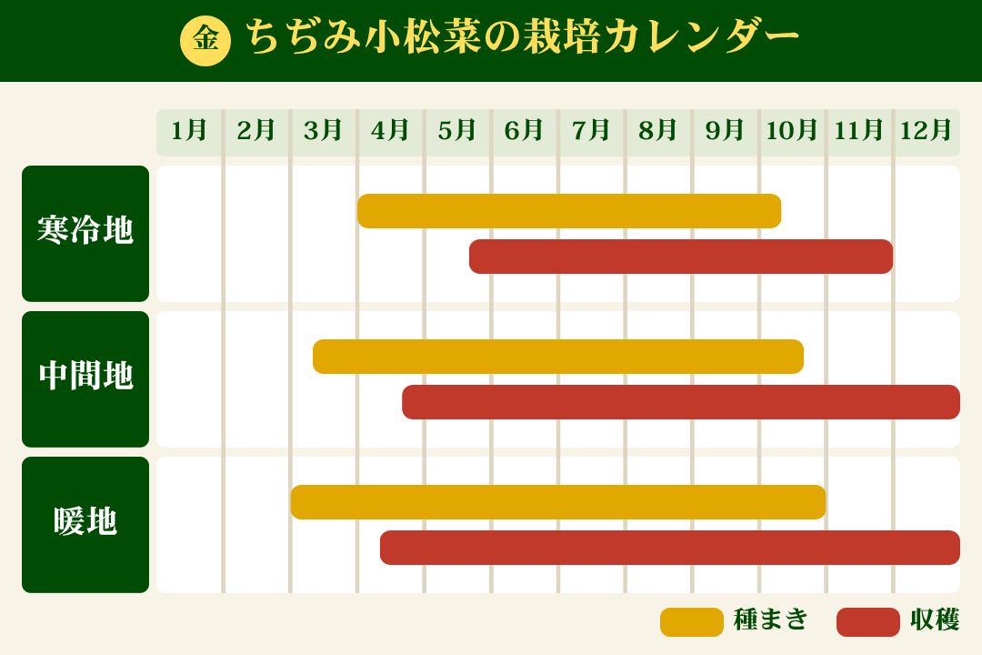 ちぢみ小松菜の栽培カレンダー
