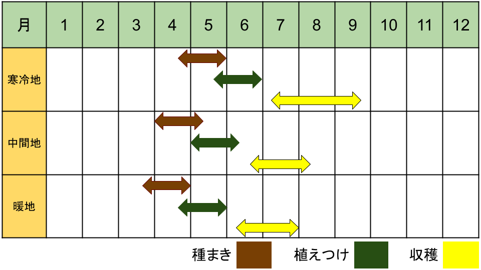 ズッキーニの栽培カレンダー