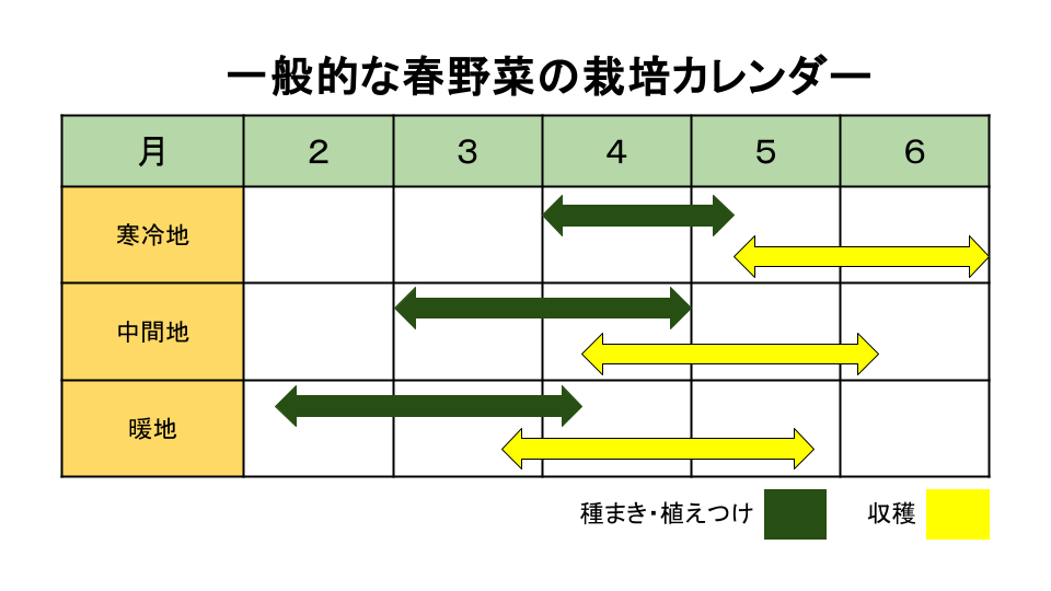 一般的な春野菜の地域別栽培カレンダー（寒冷地・中間地・暖地）