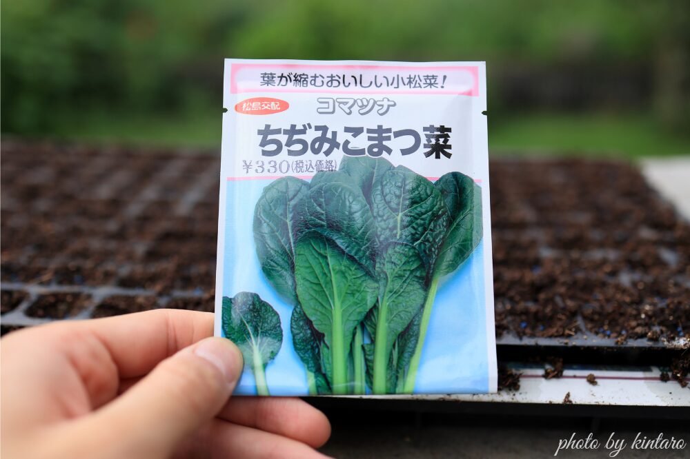 ちぢみこまつ菜の種袋